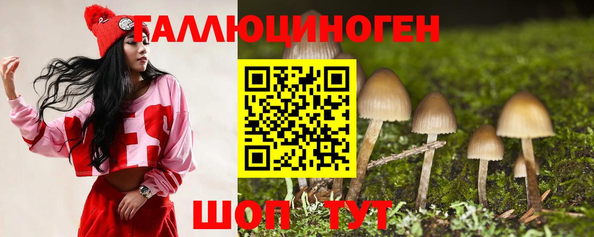 Галлюциногенные грибы Magic Shrooms Барнаул